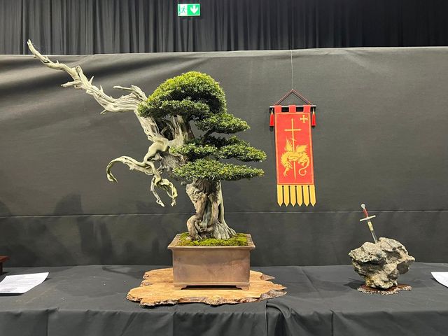 Tony Tickle Taxus